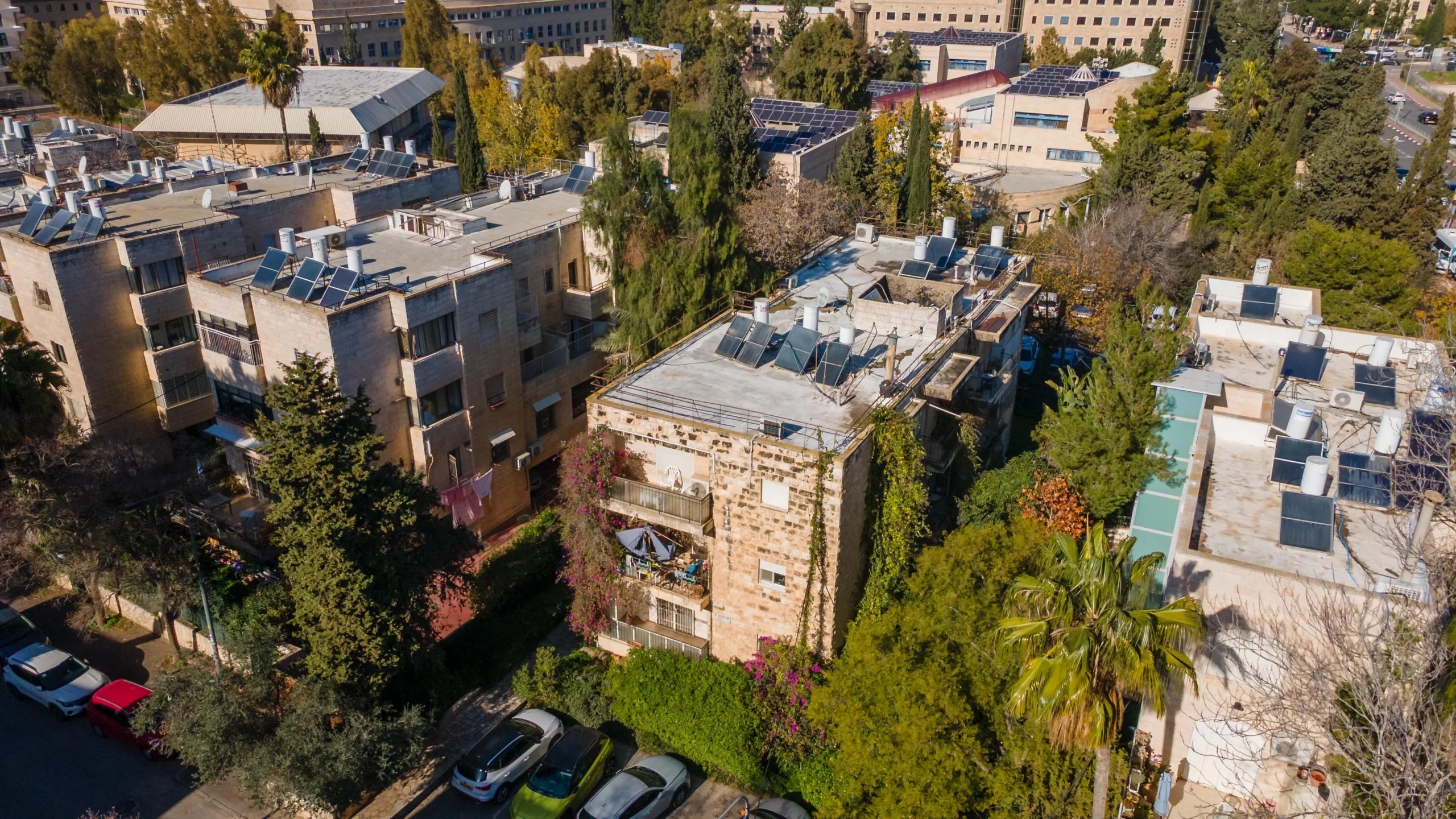 Stone apartment buildings with solar heaters on the roofs among palms and pines in Arnona, seen from above