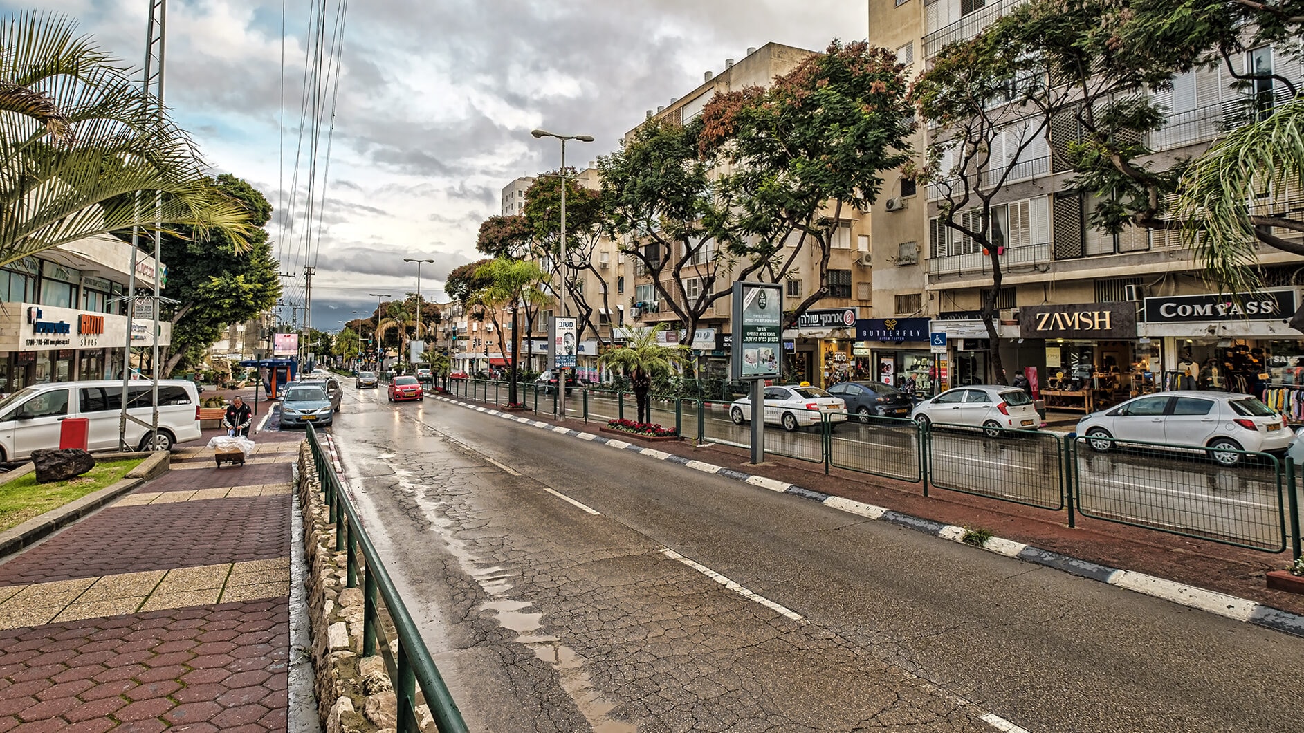 Weizman Street in Kfar Saba after rain: a two-lane road with a fenced median, shops on the ground floor of four-storey apartment buildings and flowering trees along the pavement