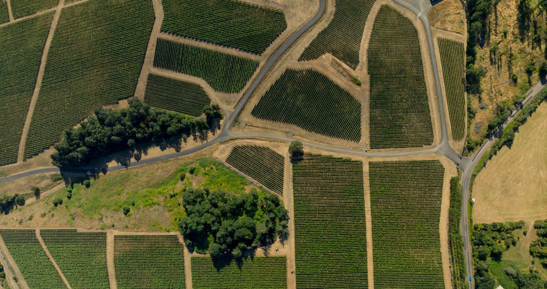 Vineyards around Carmei Gat from the air